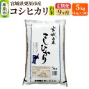 【ふるさと納税】《定期便9ヶ月》【令和6年産・白米】宮城県栗原産 コシヒカリ 毎月5kg (5kg×1袋)×9ヶ月