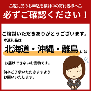 【2月発送】とちおとめレギュラー 250g×12パック