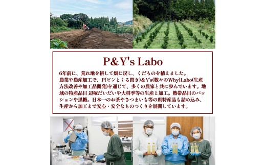 A83016 辺塚だいだい希釈用ジュースと青果のセット 鹿児島 国産 フルーツ 果物 果実 果汁 希釈用ジュース ドリンク 詰め合わせ 焼酎割 【農地所有適格法人株式会社P＆Y'sLabo】