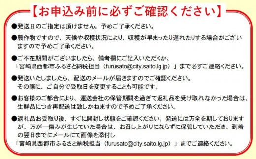 【先行予約】宮崎県西都市産 完熟きんかん3kg（3L～L）　2027年発送＜18-8a＞