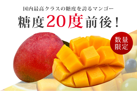 【数量期間・季節限定】 『グッド！モーニング』で紹介 おみたんマンゴー約450g 数量限定 期間限定 先行予約 完熟 マンゴー 国産フルーツ 果物 くだもの 【7月20日～8月末まで順次発送予定】 1