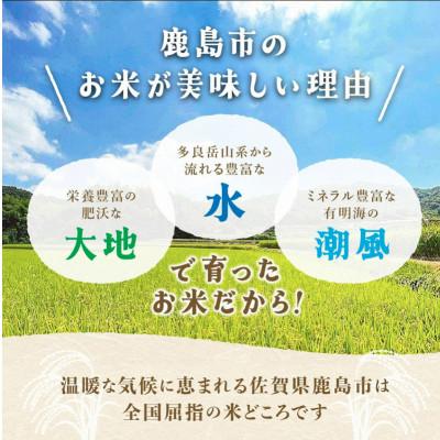 ふるさと納税 鹿島市 令和7年度産 鹿島市産 [さがびよりor夢しずく] 5kg 1袋 【品種指定不可】 玄米 |  | 02