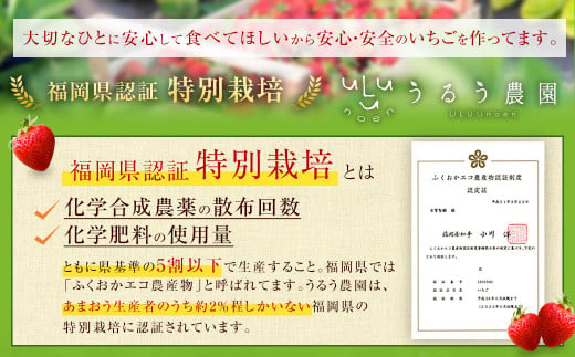 【特別栽培/有機質肥料/アフター保証】うるう農園 あまおう サイズ色々 4パック （約1140g）【2025年2月上旬～2025年4月上旬発送予定】 いちご イチゴ 苺 フルーツ 果物