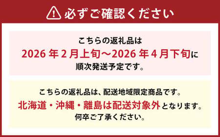 博多あまおう（春） 約250g～270g×4パック 計約1kg～1.08kg【2026年2月上旬-4月下旬発送予定】いちご 苺 イチゴ 果物 フルーツ