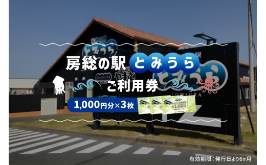 
房総の駅とみうらご利用券　1000円分×3枚 mi0069-0001
