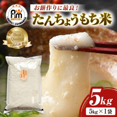 ふるさと納税 あわら市 たんちょうもち米 5kg 精米 ≪希少!お餅作りに最良≫