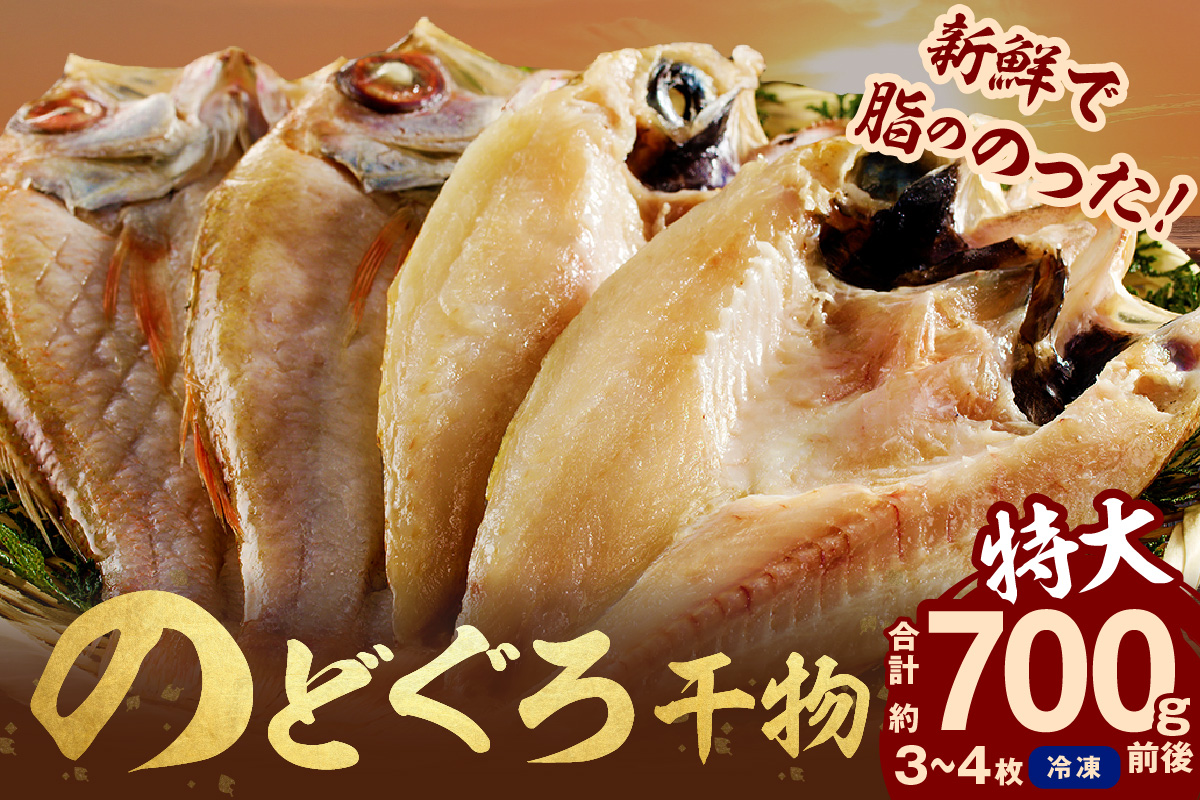 【先行予約】のどぐろ干物 特大3～4枚（計700g前後）＜9月中旬以降発送＞ のどぐろ本来の旨味に出会う渾身の干物 河野乾魚店 魚介類 魚貝類 干物 干もの 一夜干し お祝い お取り寄せ グルメ 【019_1949】