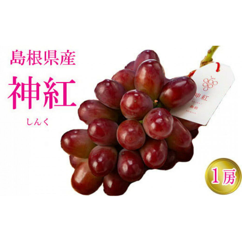 【ふるさと納税】島根県 出雲市産 神紅（島根県オリジナル品種）1房 600g しんく 葡萄 冷蔵 果物 フルーツ お取り寄せ グルメ 期間限定 数量限定 島根県 出雲市