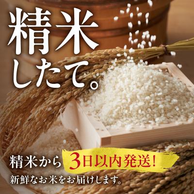 ふるさと納税 雨竜町 【10月発送】先行受付 うりゅう米 ななつぼし 5kg (5kg×1袋)令和7年産 新米 |  | 02