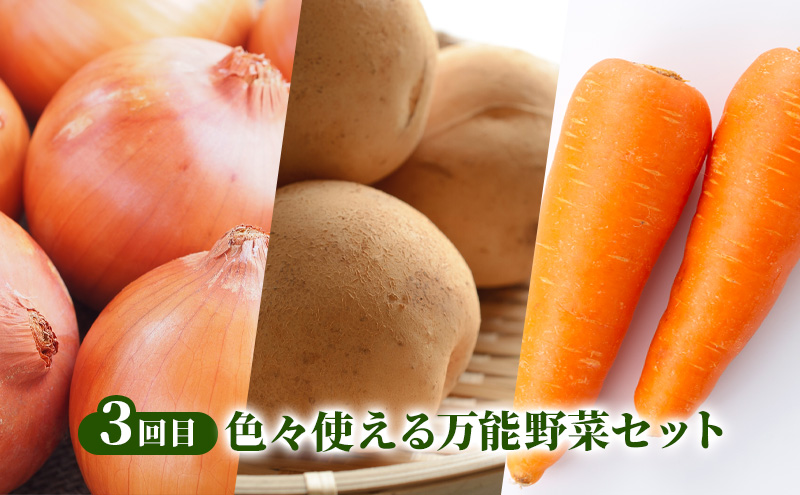 2026年発送 南富良野から贈る 人気野菜 3回お届け定期便 北
