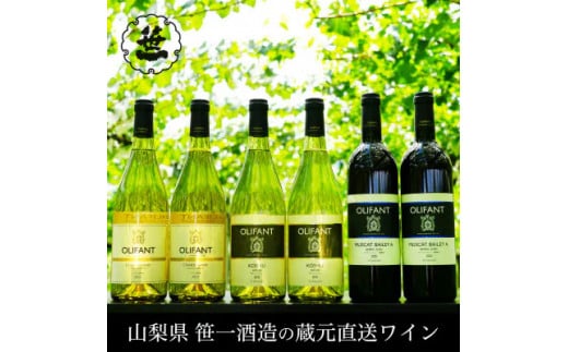 【蔵元直送】笹一酒造・OLIFANT(オリファン)ワイン 750ml×6本セット