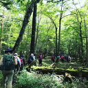 【ふるさと納税】山小屋で昼食＆プロガイド付き富士山五合目トレッキング（3〜5名）◇【体験　自然　トレッキング　ハイキング】