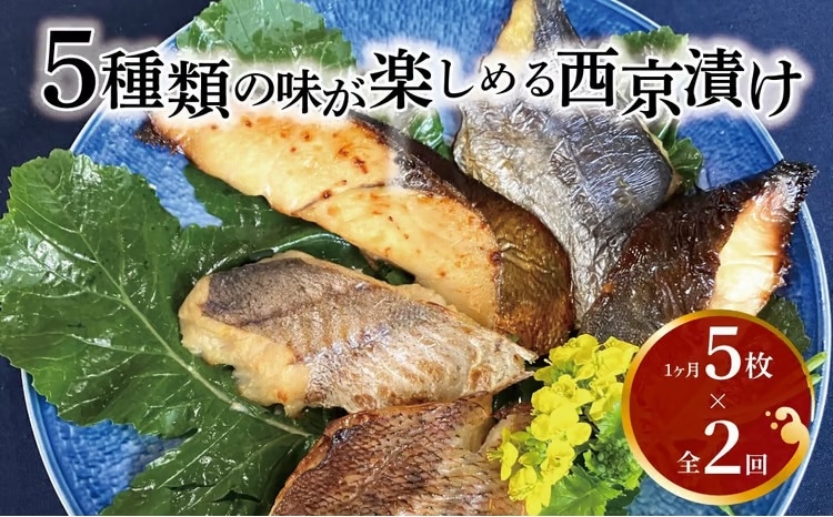 
                  定期便 2ヵ月 西京漬け 骨取り 5種 5枚 詰め合わせ 銀鱈 メバル 銀ヒラス サワラ又はサバ 鱈類 銀鱈西京焼き 西京焼き L5 漬け魚 漬魚 西京味噌 西京味噌漬け 魚 焼き魚 切身 和食 [№5412-0409]
                