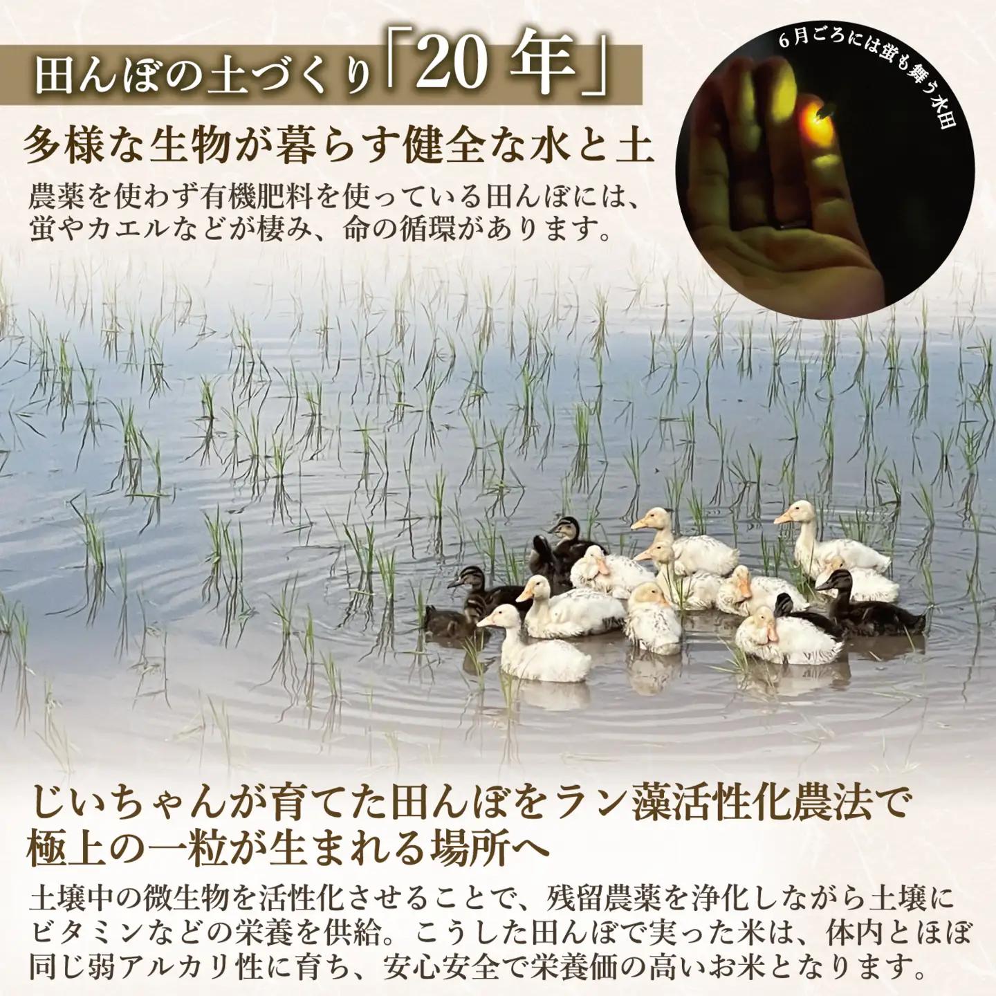 【新米予約】＼ 2027年2月より10kg 6回 ／極上のコシヒカリ 七〇八米（なおやまい）【黒】