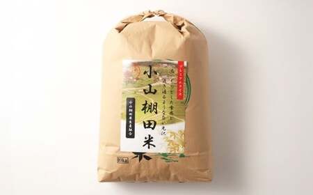 岡山県美咲町産 棚田百選「小山の棚田米」20kg ／ 令和7年産米先行予約 白米 【2025年11月上旬より順次発送予定】