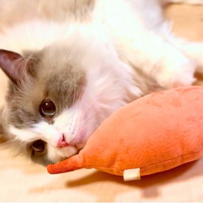 ふるさと納税 多摩市 猫のおもちゃ【お芋のけりけり】 |  | 03