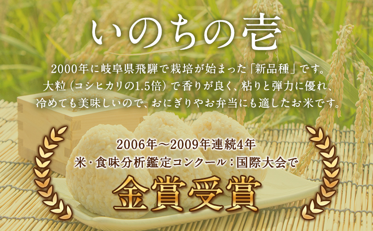 新米 令和7年産 米 いのちの壱(白米) 10kg(10kg×1袋) 雑穀米 付《10月中旬-11月下旬頃出荷》熊本県 南阿蘇村 南阿蘇 虹色のかば---sms_inci6_k1011_r7_3350
