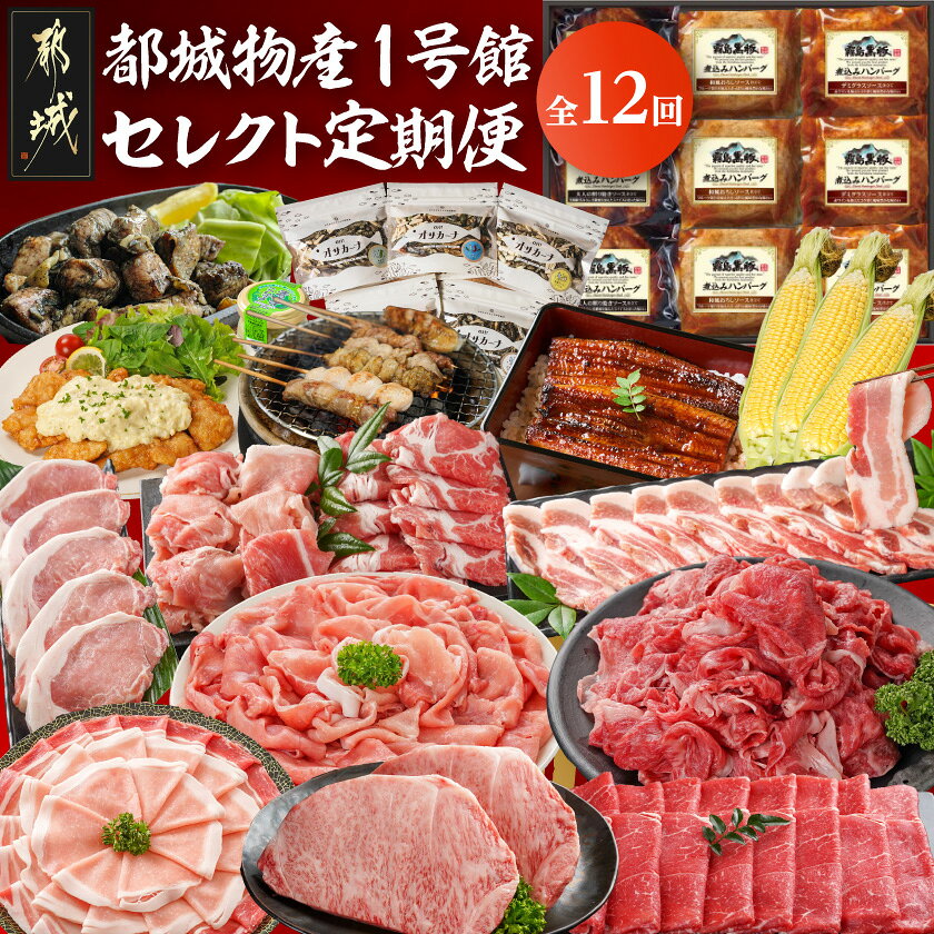 【ふるさと納税】【☆セレクト定期便☆】都城物産1号館☆定期便(12ヶ月)≪2027年お届け≫ - バラエティ豊かな定期便 全12回 クイーンハーブ豚 宮崎牛ロースステーキ スイートコーン うなぎ蒲焼 ハンバーグ 炭火焼鶏 他 定期便 送料無料 T159-12-S001【宮崎県都城市】