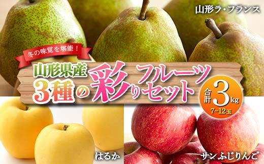 《先行予約 2026年度発送》冬の味覚を堪能！3種類の彩りフルーツセット  りんご リンゴ 林檎 デザート フルーツ 果物 くだもの 果実 食品 山形県 FSY-0136