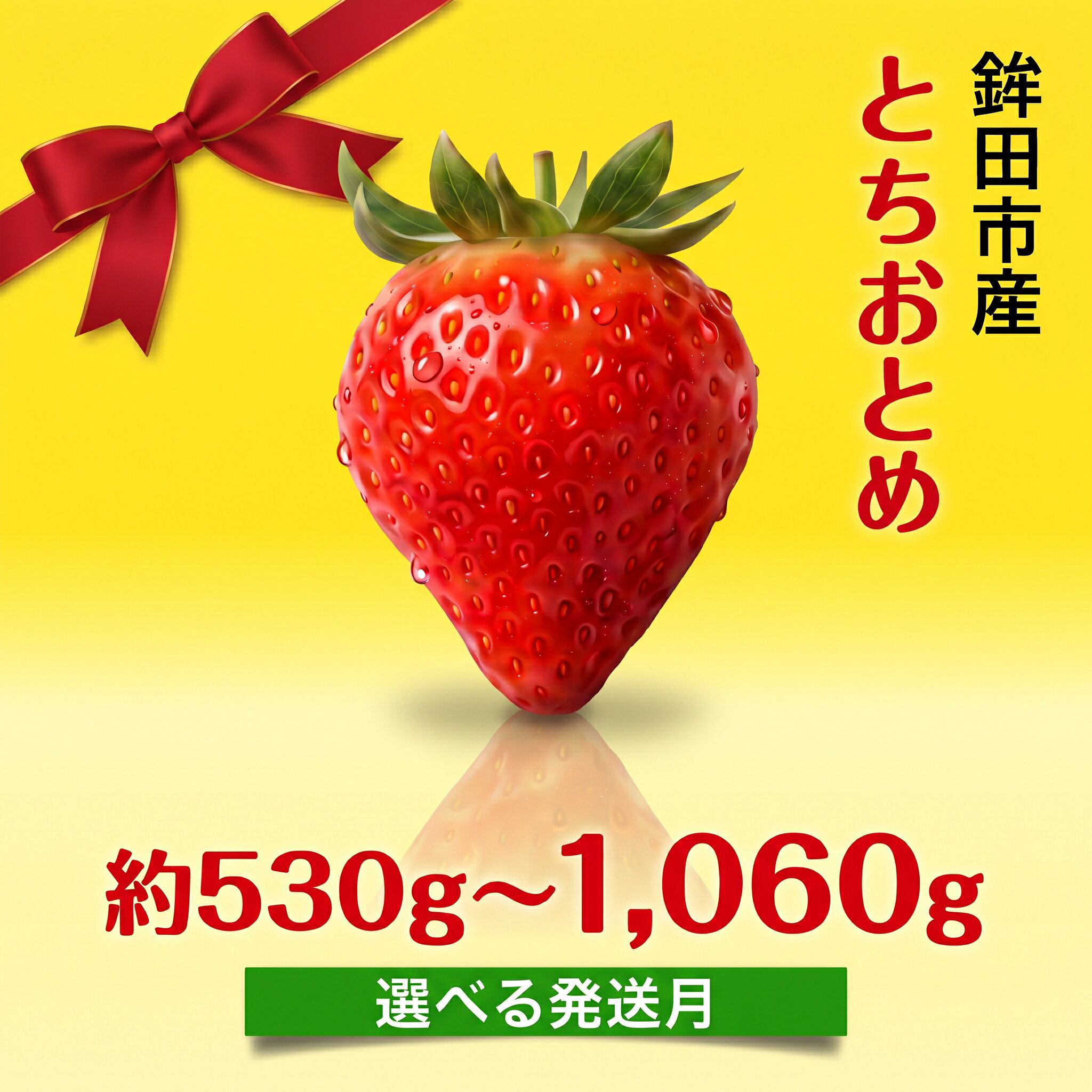 【ふるさと納税】 とちおとめ いちご 茨城県産 530g〜1060g 【選べるサイズ】【1月〜4月発送】 農家直送 新鮮 苺 イチゴ フルーツ 果物 贈答用 おすすめ 産地直送 期間限定 茨城県 鉾田市 梅原農園