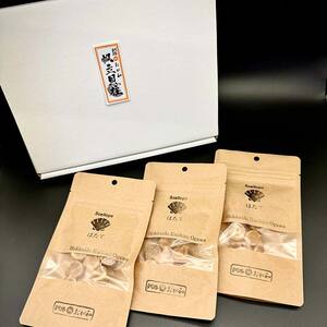 ＜お中元用熨斗＞干し帆立貝柱 袋入り30g×3袋 干し貝柱 帆立 ほたて貝柱 海鮮 酒の肴 炊き込みご飯 だし 魚介 北海道 父の日 母の日 ギフト 包装 お中元 贈答 ギフト 御中元 贈り物 手土産