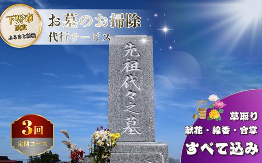 お墓 清掃 代行サービス 3回コース「ふるさとのお墓 心を込めてお掃除します」 掃除 お掃除 代行  栃木県 しもつけ市 下野市