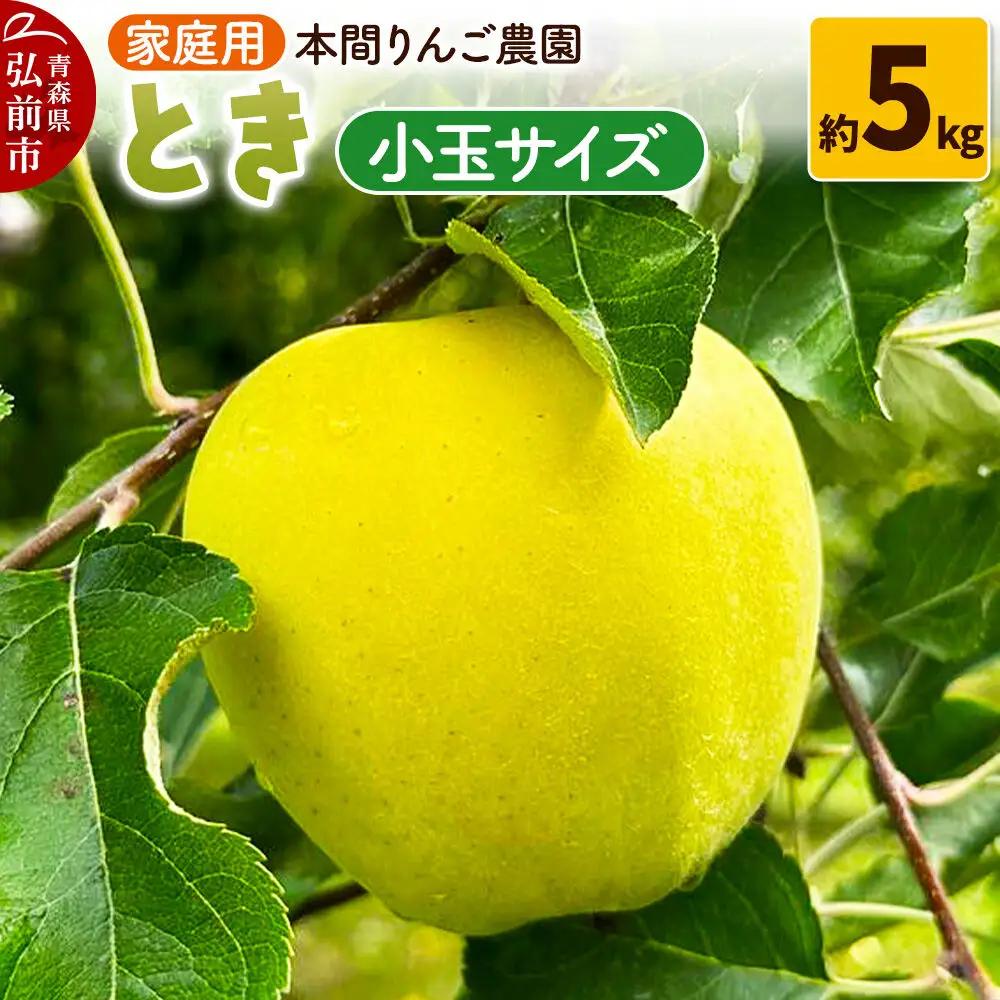 【26年10月発送】りんご とき【家庭用】約5kg 小玉 先行受付 青森県 弘前市 果物 フルーツ 林檎 リンゴ くだもの 不揃い 規格外