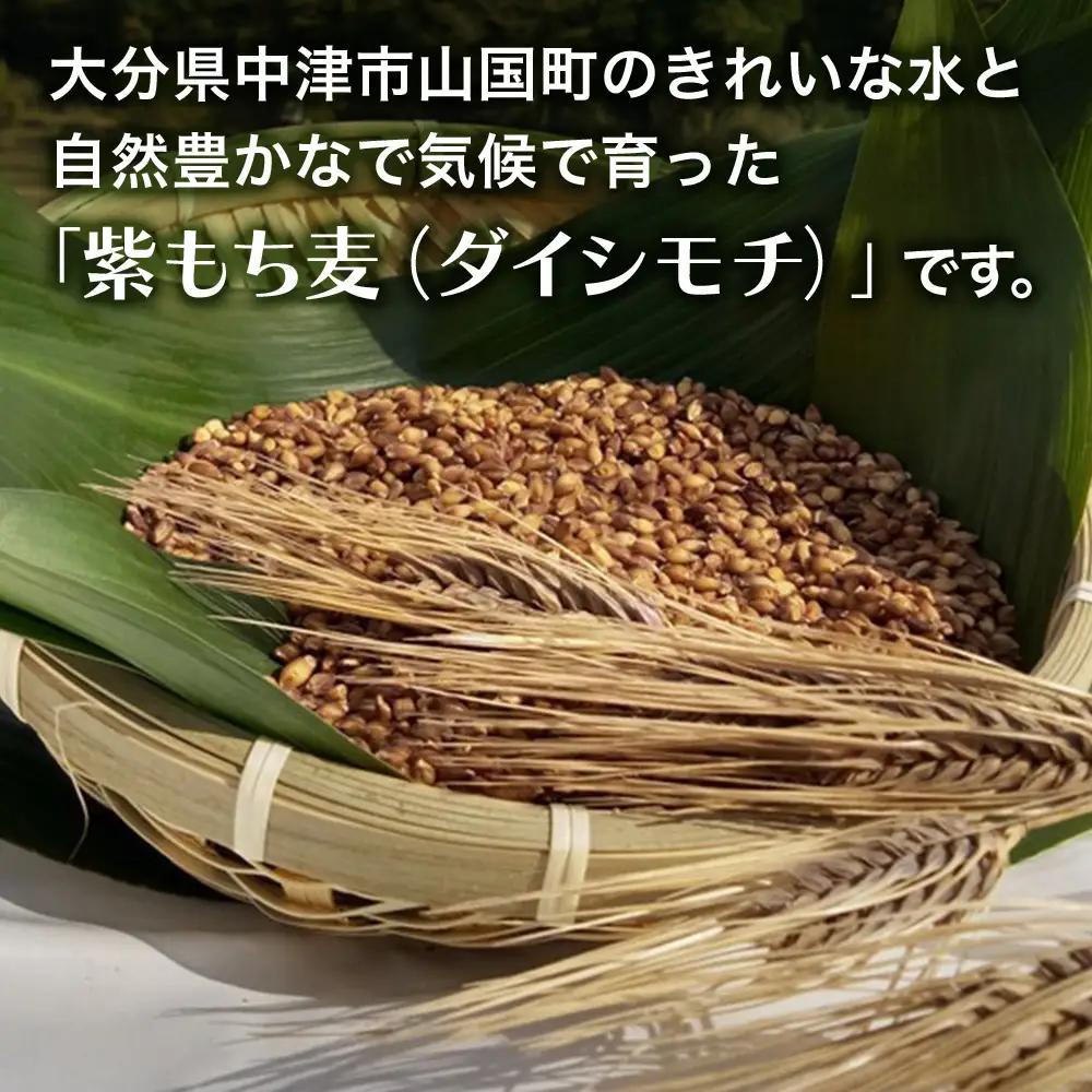 山々と源流の山国町「nakano麦園」の希少な『紫もち麦』ダイシモチ300g×5袋 |  紫もち麦 もち麦 麦 ダイシモチ 紫麦 雑穀 穀物 希少 国産 麦ご飯 1500g 1500グラム 1.5kg
