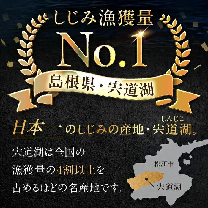 しじみ 鮮度抜群！Lサイズ2kg(生鮮･砂抜済･活しじみ)  島根県松江市/有限会社藤本米穀店[ALCG008] しじみ しじみ
