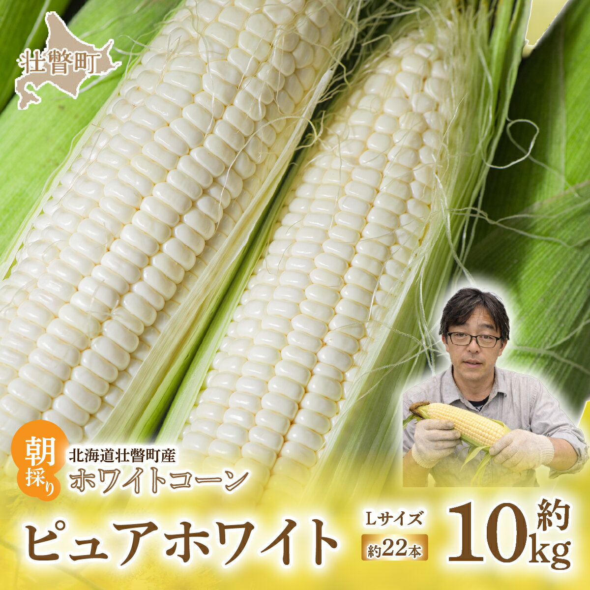 【ふるさと納税】＜2026年8月中旬よりお届け＞【朝採り】北海道壮瞥町　ホワイトコーン「ピュアホワイト」Lサイズ以上22本（約10kg） ふるさと納税 人気 おすすめ ランキング ピュアホワイト 白い 白 トウモロコシ とうもろこし 野菜 甘い 北海道 壮瞥町 送料無料 SBTQ002