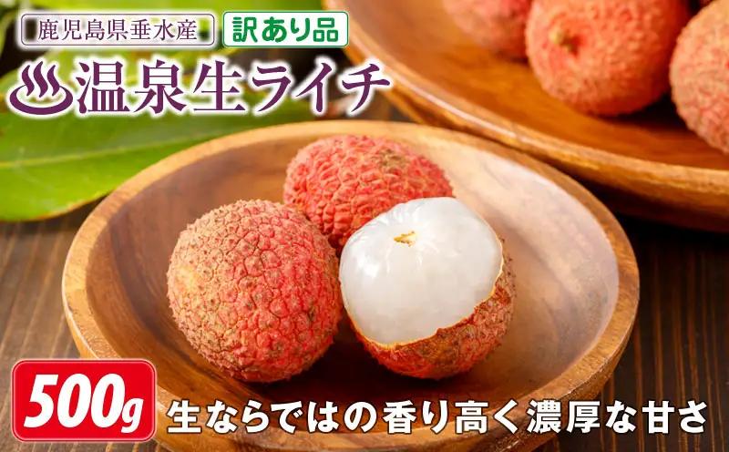 A1-22564／【 訳あり品 】【 期間限定 】 生ライチ 500g 訳あり 温泉水で育てた希少な 国産 ライチ ！