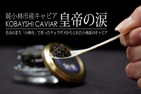 【日本のキャビアの日制定記念】皇帝の涙 ロイヤルシベリアン キャビア 100g（国産 魚卵 魚介 フレッシュ おつまみ 珍味 冷凍）