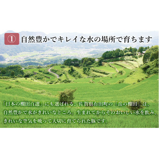 【人気！豚肉7種セット】ありたぶた バラエティSセット (豚肉7種) 小分け 真空パック 豚肉 ロース バラ ウインナー ソーセージ ハンバーグ N20-48_イメージ3