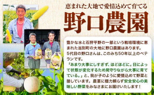 【2-6-48】【令和7年産先行予約】野口農園お米セット10kg「ななつぼし・おぼろづき」