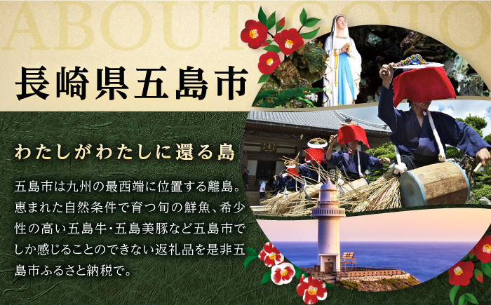 本からすみ半身100g 五島市/小島社中 からすみ 海の幸 おつまみ [PDM004]