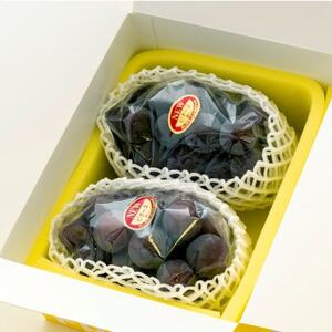 ご家庭用　岡山県産ニューピオーネ(クール便)　約1.2kg(2～3房)【配送不可地域：離島】【1614322】