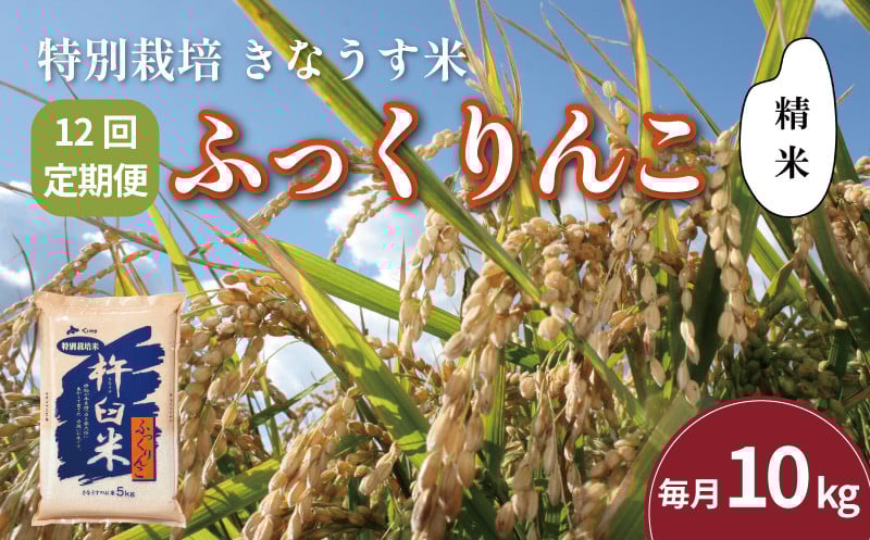
            【精米12ヶ月定期便】特別栽培「きなうす米」ふっくりんこ10kg×12回　U007
          