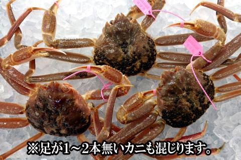 【先行予約】33-26 兵庫県香住産 訳あり活松葉ガニ 3枚(約1.2～1.5kg)　11月中旬以降配送予定