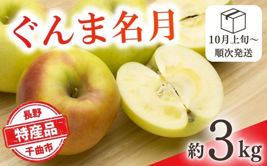 【2026年先行予約】りんご ぐんま名月 約3kg | りんご 林檎 リンゴ 信州りんご 長野県 千曲市