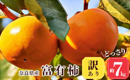 【 堀うち農園 】どっさり 約 7kg 訳あり 富有柿 | フルーツ くだもの 果物 柿 かき デザート 人気 国産 産地直送 奈良県 五條市 カキ 果実 11月 順次発送 秋 旬 味覚 グルメ お取り寄せ 送料無料 大容量 農家直送 ビタミン タンニン 食物繊維 豊富 美容 健康 特産品 甘い 多汁 甘柿 株式会社堀内果実園 柔らかい こだわり わけあり 訳アリ 自宅用 家庭用 ご自宅用