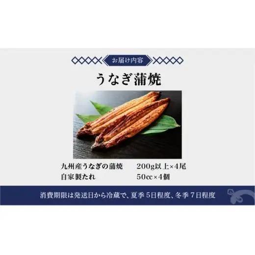 うなぎ蒲焼き 800g (200g×4尾) 
