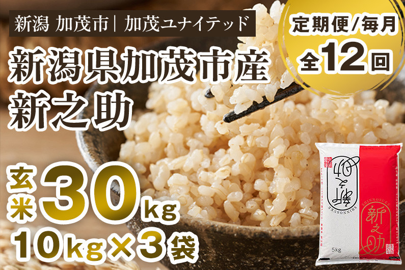 
【令和6年産新米先行予約】【定期便12ヶ月毎月お届け】新潟県産 新之助 玄米30kg 《10kg×3袋》 新潟 ブランド米 加茂市 加茂ユナイテッド
