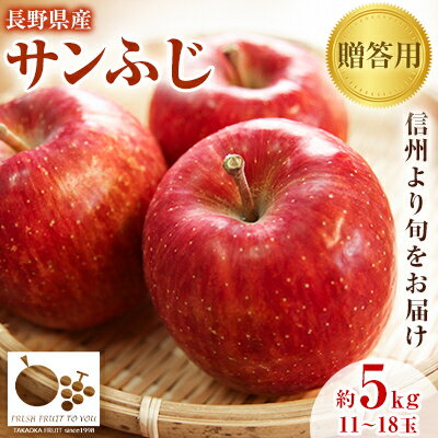 【ふるさと納税】【2025発送分】=信州中野の旬をお届け= サンふじ　贈答用　5kg(11～18玉)【高丘フルーツ】_ リンゴ りんご 林檎 サンふじ 果物 くだもの フルーツ ふるーつ 国産 信州 長野 贈答 ギフト 産地直送 送料無料 おすすめ 人気 お取り寄せ 旬 5kg 【1297195】