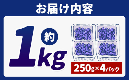 【2026年先行予約】【訳あり数量限定】ブルーベリー 計1kg (250g×4パック) ブルーベリーの宝石箱 かさおか青空ファーム 先行予約《2026年6月上旬-8月下旬頃出荷》 岡山県 笠岡市 送料