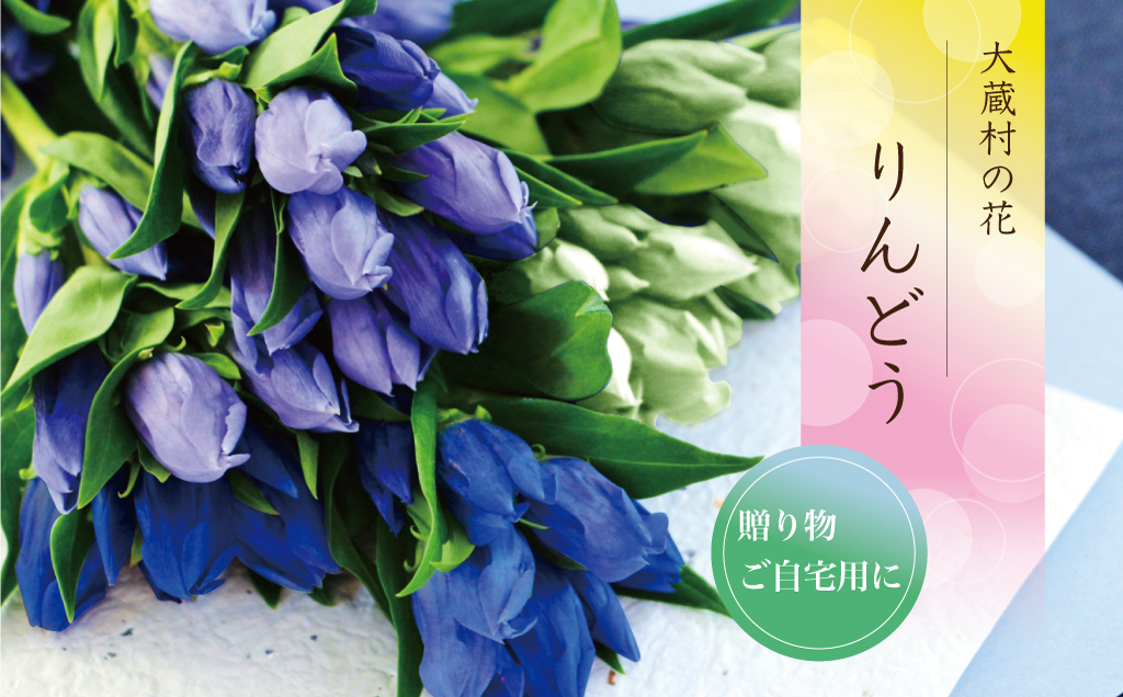 大蔵村の花　りんどう