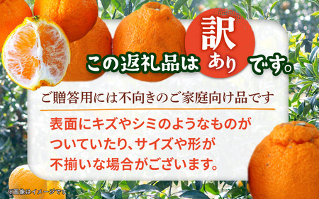 【2025年2月～3月頃発送予定】九州・福岡フルーツ王国八女｜ワケあり「不知火」（デコポンと同品種）約4kg（＋1kg傷み補償付き）＜配送不可：北海道・沖縄・離島＞ 072-167