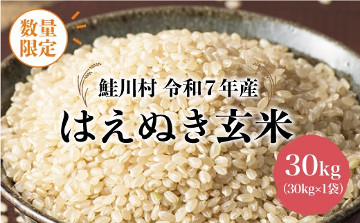 ★地域農業応援★ 令和7年産 はえぬき 玄米 30kg（30kg×1袋） 低温倉庫でしっかり保管！品質に自信！　お申し込み完了後、10日程度で発送