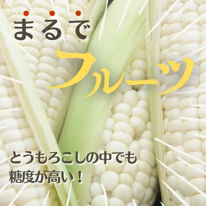 【2026年7月下旬頃発送】「ロイシーコーン」20本 約4kg【たかだ畑】とうもろこし スイートコーン 白い 野菜 産地直送 とうきび BBQ バーベキュー キャンプ 甘い 北海道 比布町 ぴっぷ 1