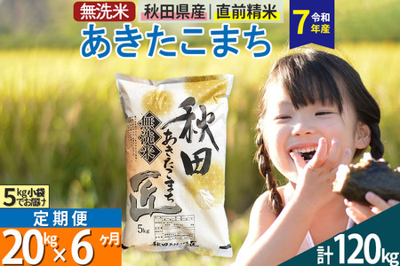 【無洗米】＜令和7年産＞《定期便6ヶ月》秋田県産 あきたこまち 20kg (5kg×4袋) ×6回 20キロ お米  匠