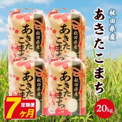 ふるさと納税 八郎潟町 【毎月定期便】あきたこまち 20kg(5kg×4袋)【白米】 秋田県産全7回